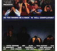 So You Wanna Be a Rock 'n' Roll