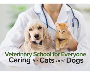 So You Want to Be a Vet