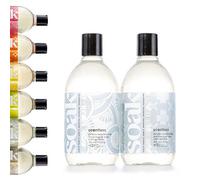 Soak Laundry Soap - 2 Pack Shop & Share | No Rinse, Plant Derived Hand Wash Detergent - 375 ml / 12 fl. oz, 75+ Washes (Scentless)