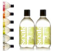 Soak Laundry Soap - 2 Pack Shop & Share | No Rinse, Plant Derived Hand Wash Detergent - 375 ml / 12 fl. oz, 75+ Washes (Fig)
