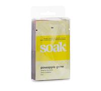 Soak - Minisoak Travel Pack, Assorted, Pack of 8 | No Rinse, Plant Derived Hand Wash Detergent | 5mL, Single Use
