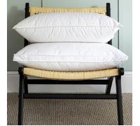 Soak&Sleep 100% Canadian Goose Down Pillows - Soft/Medium - Standard - Single