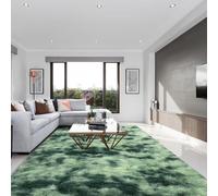 SOANNY Rug, Living Room Fluffy Tie-Dye Carpet, 180x270cm Dark Green | Machine Washable, Non Slip, Plush Cozy Soft, Bedroom Dorm Nursery Office Lounge Playroom Bedside Sofa Kids Room Decor