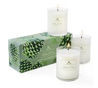 Soap and Paper Factory Roland Pine Votive Trio