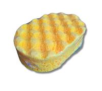 Soap Filled Exfoliating Sponge (Shanell's Chance)