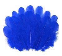 Soarer 300pcs Blue Feathers for Crafts - 3-5inch Feathers Bulk for Wedding Home Party, Dream Catcher Supplies and DIY Crafts Scrapbooking Embellishments (Royal Blue)