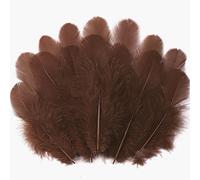 Soarer 300pcs Brown Feathers for Crafts - 3-5inch Craft Feathers Bulk for Wedding Home Party, Dream Catcher Supplies and DIY Crafts Scrapbooking Embellishments(Brown)
