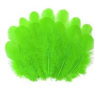 Soarer 300pcs Green Feathers for Crafts - 3-5inch Feathers Bulk for Wedding Home Party, Dream Catcher Supplies and DIY Crafts Scrapbooking Embellishments (Aqua Green)