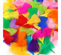 Soarer Colorful Craft Turkey Feathers - 300pcs 3-5inch Colored Feathers for Kindergarten DIY Crafts,Wedding Home Party Decorations,Dream Catcher Supplies(Turkey Colorful)
