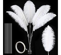 Soarer White Large Ostrich Feathers - 10Pcs Making Kit 34inch Extra Large Ostrich Feathers Long for Tall Vase,Floral Arrangement,Christmas Party Centerpieces and Wedding Home Decoration(White)