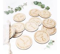Soarfly Wooden Baby Monthly Milestone Cards, Wooden Milestone Cards for the First Year, Photo Props, Gift for Expectant Mums & Parents Pack of 14