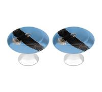 Soaring Eagle 2 Pack Cabinet Knobs Drawer Pulls Decorative Stainless Steel Dresser Knobs Bathroom Furniture Cabinet Hardware for Kitchen, Door & Drawer, Wardrobe, Cupboard