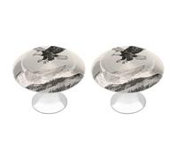 Soaring Eagle Cabinet Knobs, 2-Pack Silver Stainless Steel Drawer Pulls with Screws, Elegant Hardware for Dressers, Kitchen,Cabinets & Desks