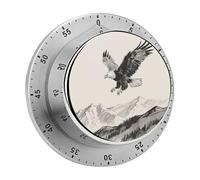 Soaring Eagle Kitchen Timer 60 Minute Visual Wind Up Timers Indoor Mechanical Timers with Magnetic Base Stainless Steel Timer for Home Cooking Time Management Tool
