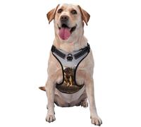 Soaring Snake Vulture Large Printed pet Traction Vest for Pets to wear When Walking The Dog or Climbing Mountains