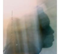 soaring wayne phoenix story the earth [VINYL]