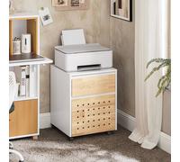 SoBuy Mobile Office Storage Cabinet - Dual-Drawer with Castors in White SoBuy White