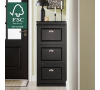 SoBuy Slim Shoe Cabinet - Flip-Down Doors in Black SoBuy Black