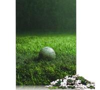 Soccer Ball on Grass Puzzles for Adults 1000 Piece Puzzle for Teenager Educational Game Challenge Toy 1000pcs (75x50cm)