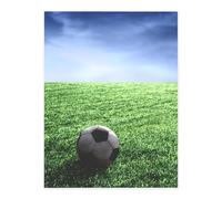 Soccer Field A4 Crystal Clear Sticker Sheet,Full-Print Waterproof Pet Decals with 3D Effect,Ideal for Laptops,Glass,Metal,DIY Crafts Home Decor