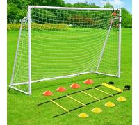 Soccer Goal 12x6,10x6.5, 8x6, 6x4FT Soccer Goals for Backyard Metal Soccer Goals for Kids Youth Adults Large Outdoor 2" Steel Soccer Goal Post Frame with Soccer Net Target Net Portable Agility Ladder