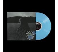 Evergreen by Soccer Mommy (Vinyl Record 2024)