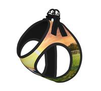 Soccer Print Step in Dog Harness and Leash Set,Mesh Pet Vest Harness for Small Dogs and Cats