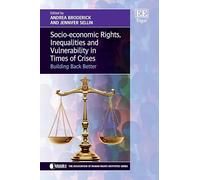 Socio-economic Rights, Inequalities and Vulnerability in Times of Crises: Building Back Better (The Association of Human Rights Institutes series)