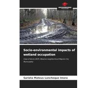 Socio-environmental impacts of wetland occupation: Case of blocks 20/21, Albazine neighborhood Maputo City Municipality