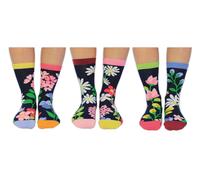 United Oddsocks Blooming Amazing Box of 6 Oddsocks for Ladies - UK 4-8