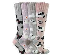 Sock Snob 4 Pairs Long Soft Lounge Bed Socks for Ladies - 4-8 UK - Assorted