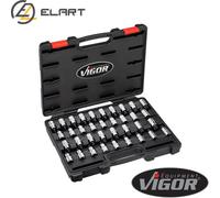 VIGOR V2496 Socket