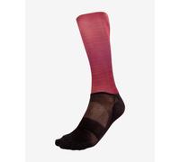 Socks Bioracer Spitfire Vesper Purple - M