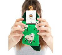 socks concept Baa Baa Sheep | Womens Funky Socks Boys Fun Socks Girls | Size 4-7