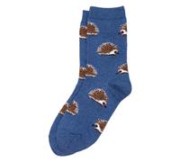 Socks cotton & spandex hedgehog friends blue by JOE COOL