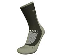 Socks Icebreaker M Mer Hike+ Light Crew (DK LODEN/LICHEN) Men