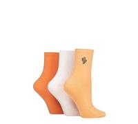 SockShop Wildfeet Ladies Embroidered Socks - Ribbed Cotton Socks in a Multipack of 3 Pairs Size 4-8 for Casual Everyday Wear (4-8, Orange Cactus)