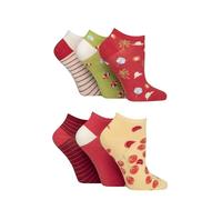 SockShop Women's Trainer Socks, Low, Short, Mesh, Plain, Ribbed, Striped, Patterned, Soft Breathable Cooling Bamboo, 6 Pair Multipack Size 4-8 Tuscan Tomato