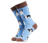 Soctopus 1 Pack Mens & Ladies Novelty Dog Crew Cotton Socks - Collie Poo (Blue) - 4-8 UK