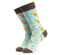 Soctopus 1 Pack Mens & Ladies Novelty Dog Crew Cotton Socks - The Old Dog and Bone (Aqua) - 9-12 UK