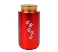 sodeber Simple Ashes Urn Memorial Jewelry Cremation Box Metal Jar Cremation Jewelry Casket for Ashes Pet Memorial for Cats and Dogs