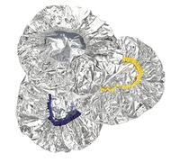 SOESFOUFU 3pcs Elastic Hair Dye Caps Tinfoil Conditioning Caps for Deep Conditioning Hair Coloring Mask Treatments Comfortable Fit for Home and Salon Use