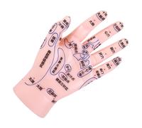 SOESFOUFU Hand Reflexology Learning Model with Precise Acupoints Realistic Human Hand Simulation for Tcm Teaching Acupuncture Massage Practice for Schools Clinics and Therapy Centers