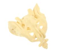SOESFOUFU Portable Lightweight PVC Sacrum Bone Model Natural Anatomical Model for Medical Teaching Hospital Research and Doctor Demonstration