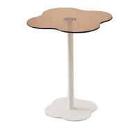 Sofa/Side table, Metal End Table Side Coffee For Small Spaces Multicolor Multiple Sizes(Brown Glass)