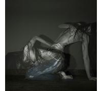 Integral – SOFIA ISELLA – SOMETHING IS A SHELL