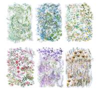 SOFPLATE 1 Box 120 Sheets 6 Styles Floral PET Stickers Set Transparent Flower Stickers Botanical Ephemera Aesthetic Vine Plant Decals Pack for Journaling Scrapbooking DIY Crafting Planner Decoration