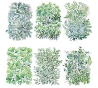 SOFPLATE 1 Box 120 Sheets 6 Styles Leaf PET Stickers Set Transparent Plant Stickers Spring Summer Nature Green Ephemera Aesthetic Decals Pack for Scrapbooking Journaling Decoration DIY Crafts Planner