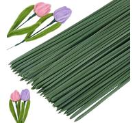 SOFPLATE 100Pcs 16 Gauge Flower Stem Wire 2mm Green Metal Flower Stems Bulk 20CM/7.87 Inch Iron Stalk Florist Wire for Flower Arrangements Bouquent Crafting Wreaths DIY Crafts Supplies Beginner Adults