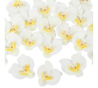 SOFPLATE 20Pcs Artificial Orchid Heads Mini False Flowers White Silk Cloth Phalaenopsis Butterfly Flowers for Wedding Bridal Shower Table Centerpieces Cake Decor Bouquet Garland Headbands DIY Crafts